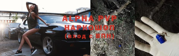 гидра Абаза