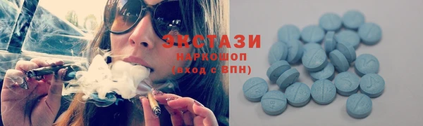 гидра Абаза