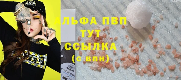 гидра Абаза
