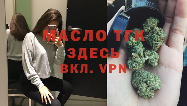 гидра Абаза
